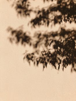 米色墙壁上，树枝的阴影创造出富有纹理的艺术图案