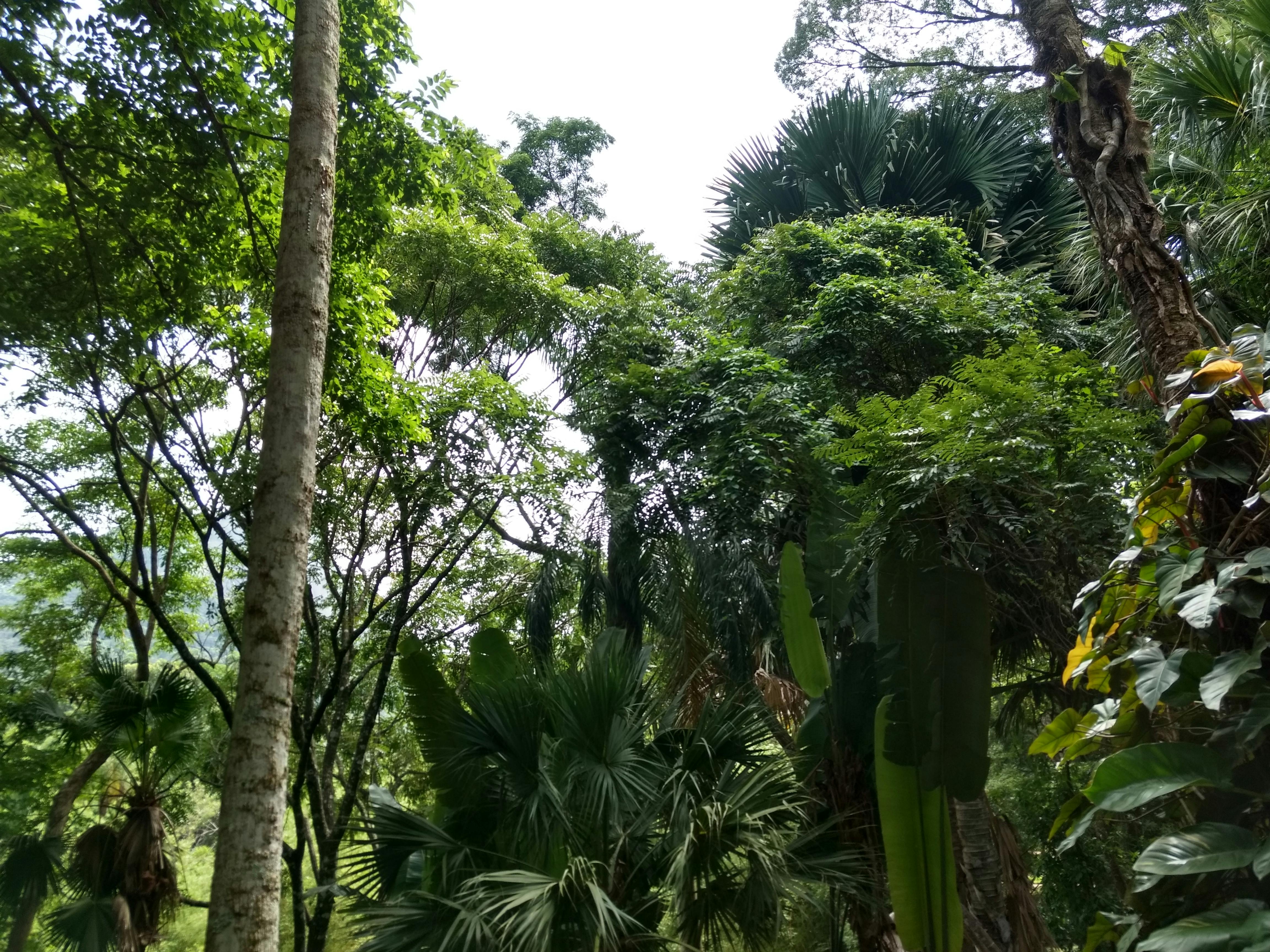 Pile of discarded electronic circuit boards representing e-waste