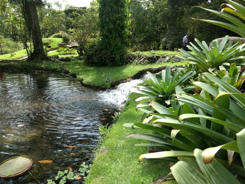 Associação de Artesãos do Norte