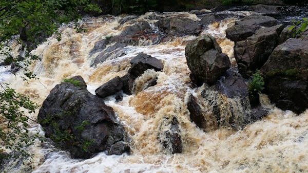 Group of trainees exercising in a sports hall