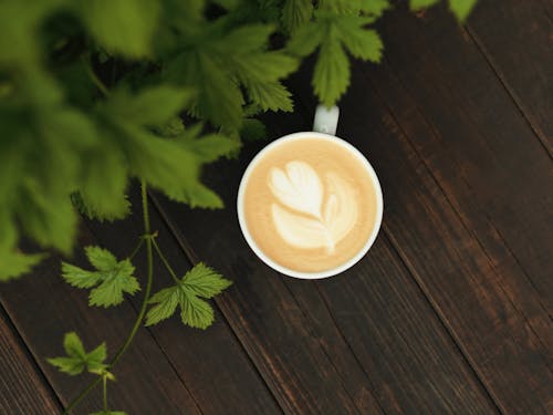 Cup of Coffee Beside Green Plant