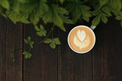 Free Green Leaves Beside a Cup of Coffee Stock Photo