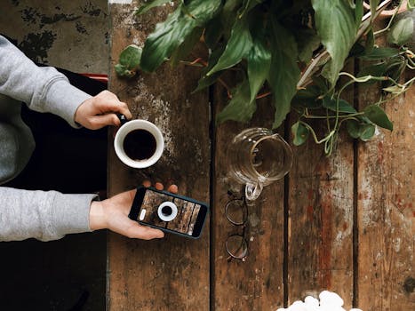 一个人在绿植环绕中，一边喝咖啡，一边用着手机