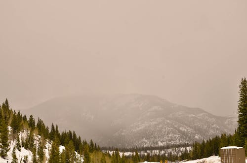 Free stock photo of fog, mountain, mountains