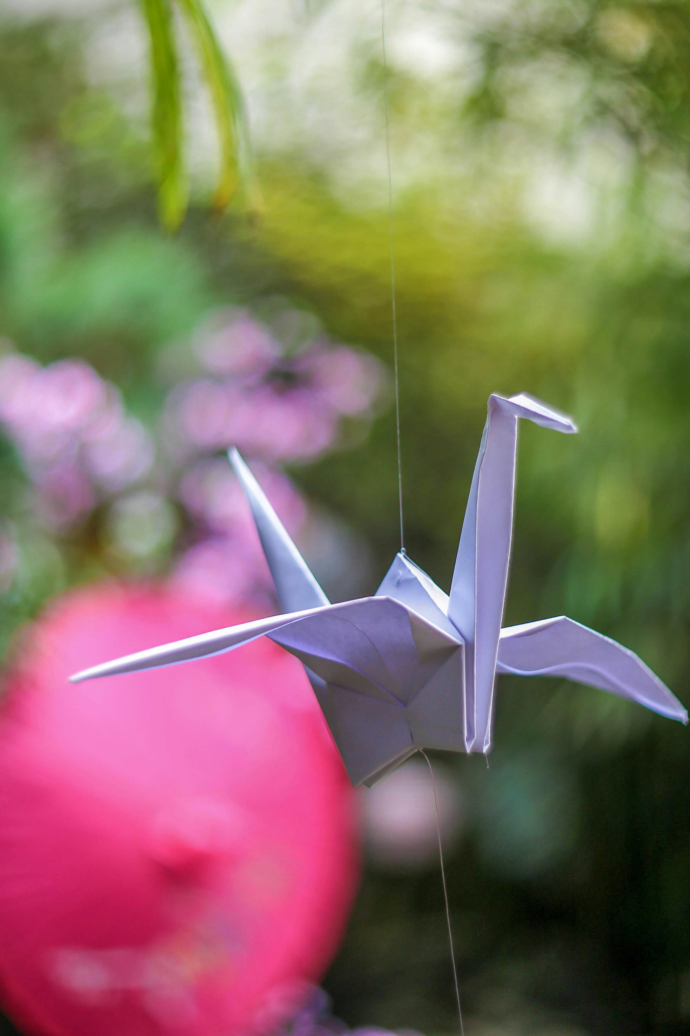 Origami Duck Stock Photo - Download Image Now - Origami, Bird