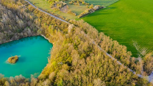 Drone view of bright landscape with yellow forest lake with turquoise water and green field