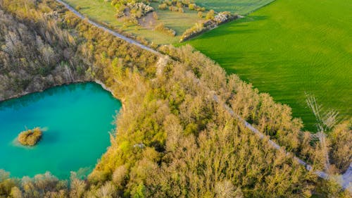 Darmowe zdjęcie z galerii z bujny, cichy, drewno