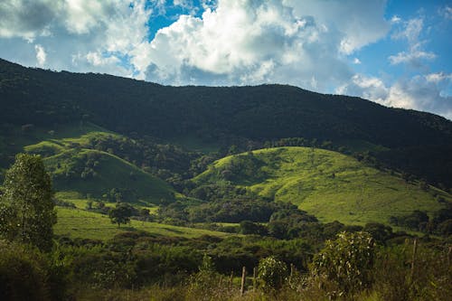 Picturesque landscape of lush hilly valley covered with abundant greenery and trees under clear blue sky