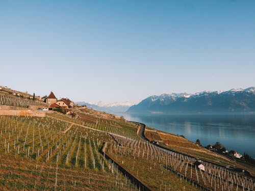 ฟรี คลังภาพถ่ายฟรี ของ @กลางแจ้ง, lavaux, การถ่ายภาพธรรมชาติ คลังภาพถ่าย
