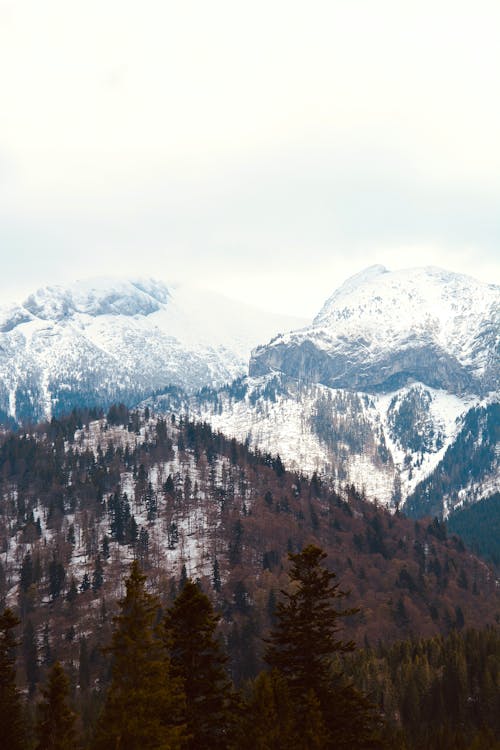Fotobanka s bezplatnými fotkami na tému horské pozadie, krása v prírode, Slovensko