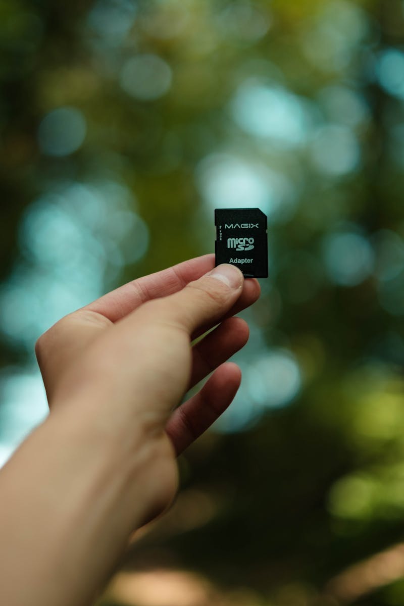 Crop person holding modern memory card against lush green trees in sunny park