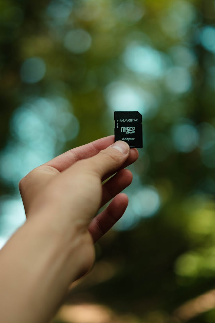 Crop Person With Memory Card In Park