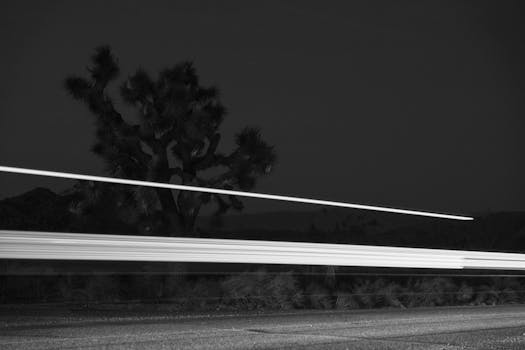 Black and white photo captures desert night with light trails and a silhouette of a Joshua tree.