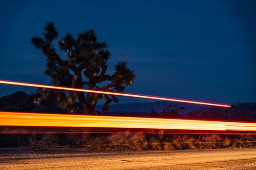 Long exposure of bright orange illuminating flashlights over dry semidesert area near Joshua tree at dark night