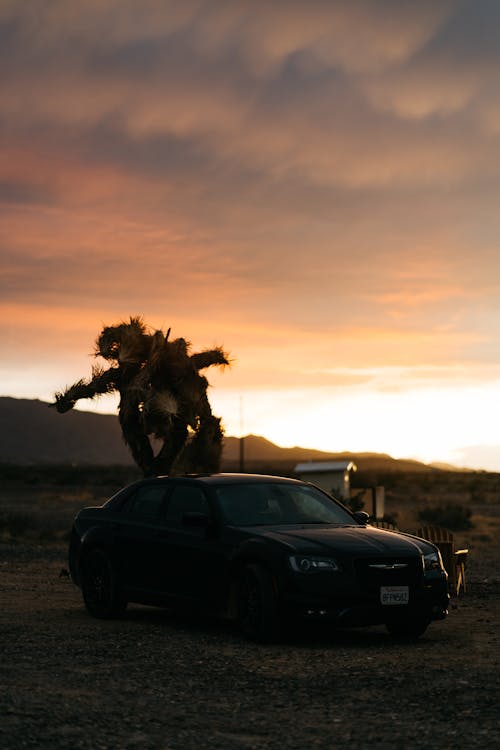 Contemporary black car parked on spacious gravel terrain nearby dry desert tree under majestic cloudy sky