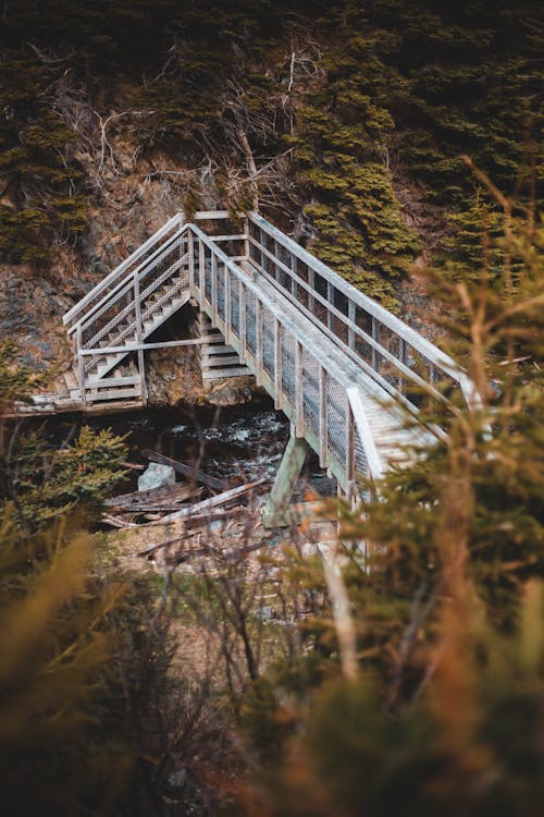 Wooden white footbridge crossing narrow creek and connecting shores covered with coniferous forest