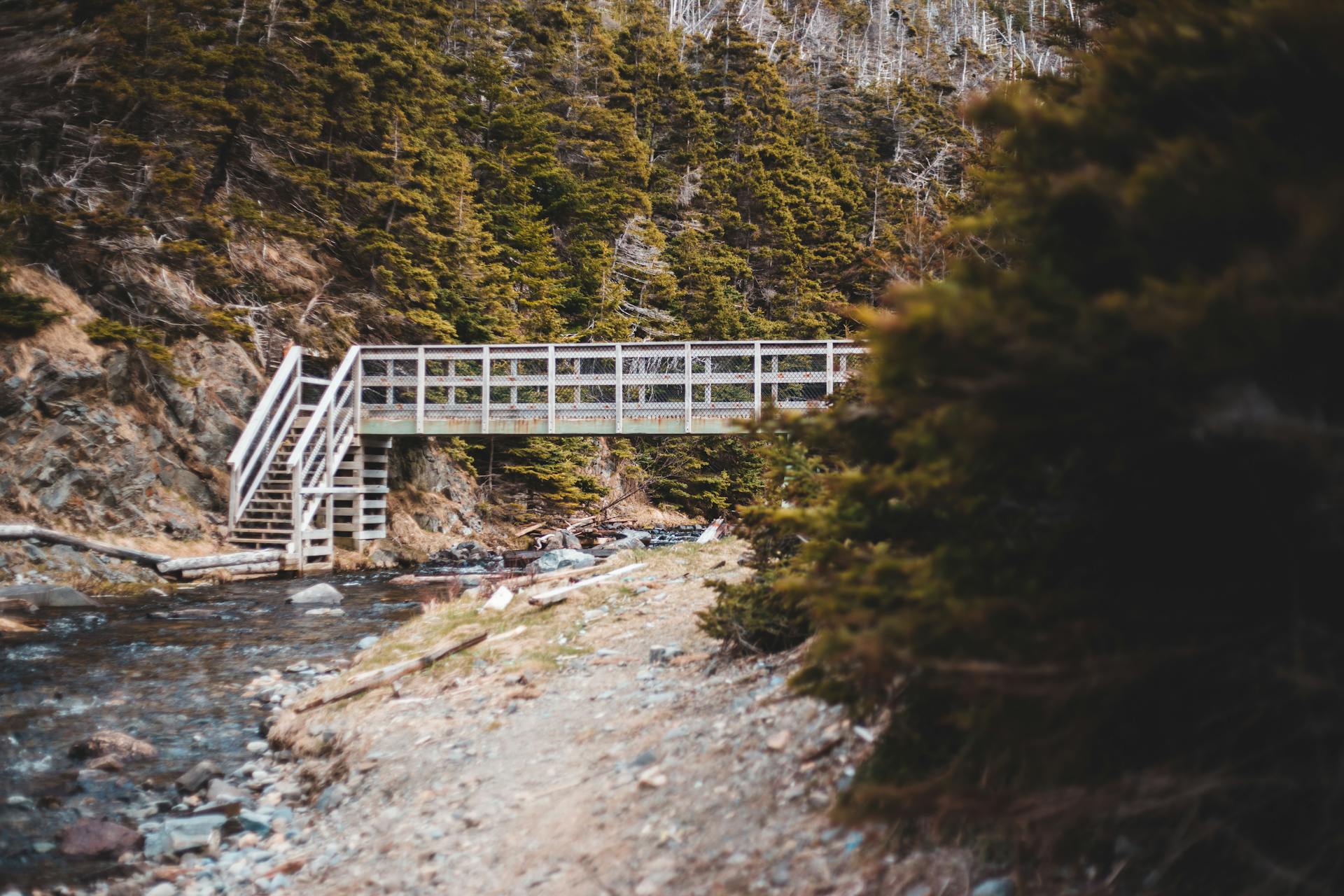 Wooden bridge over a babbling brook in a lush forest, offering a tranquil escape into nature.