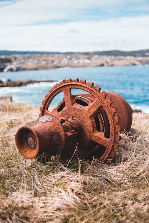 Metal rusted machinery detail left on grassy seashore