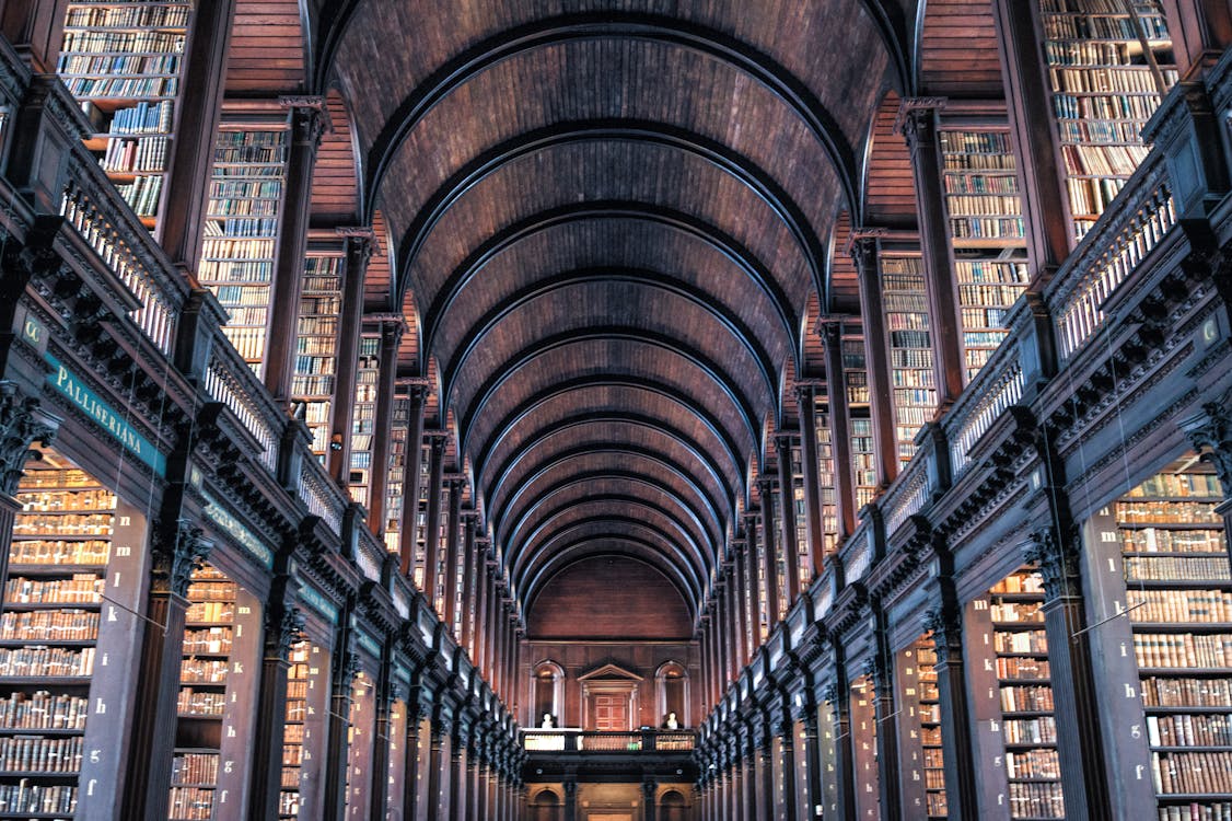 Library Filled With Bookcases · Free Stock Photo