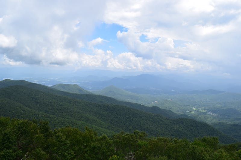 Moderne plantenwand geïntegreerd in een gebouw