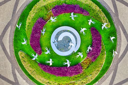 공중, 녹색, 둥근의 무료 스톡 사진