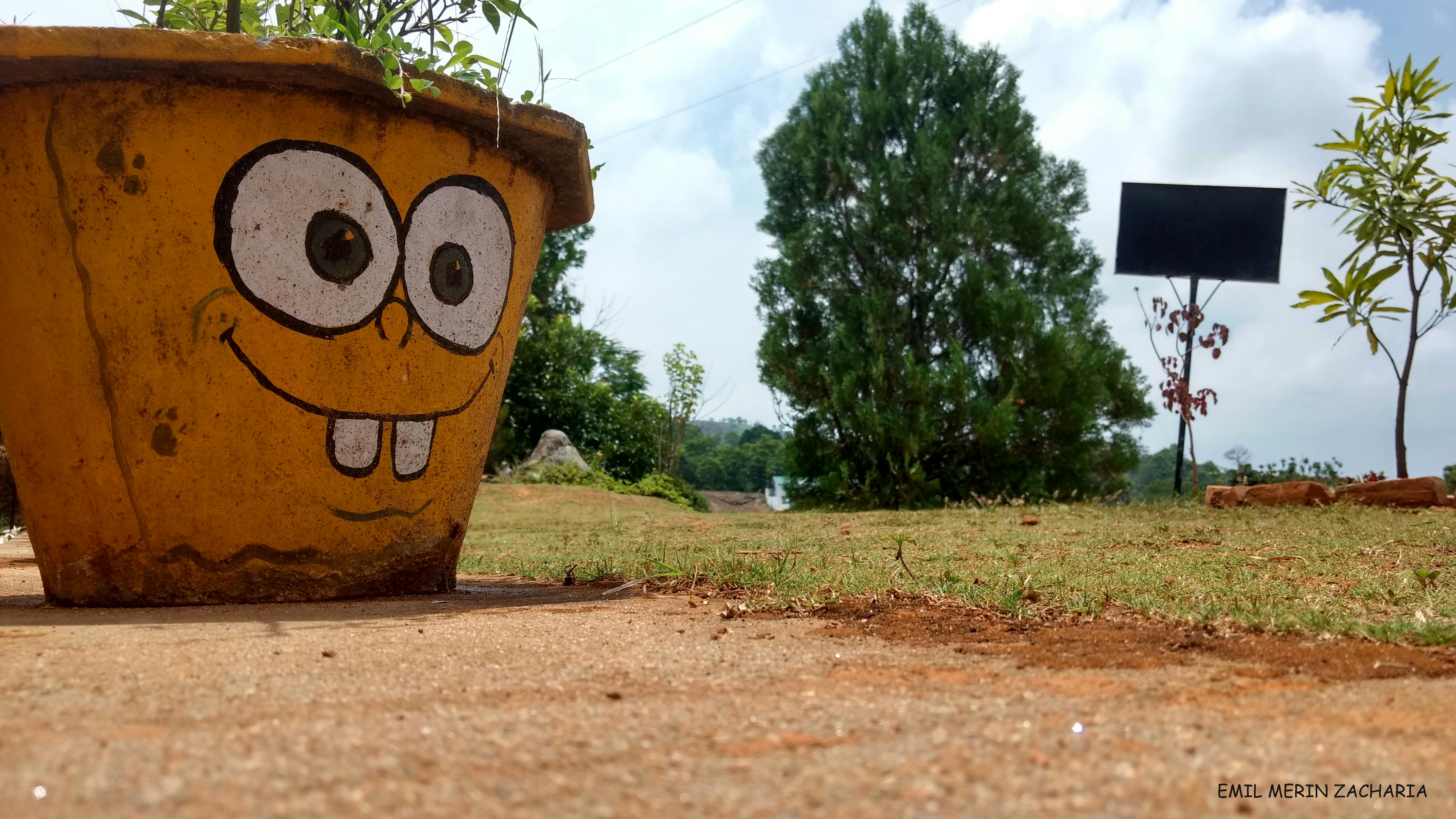 Free stock photo of face paint, graffiti, natue