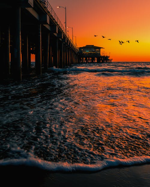 Seagulls flying over waving ocean and observation deck at sunset