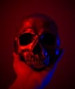 特写镜头中，手持头骨在戏剧性的红蓝灯光下，营造出幽灵般的效果