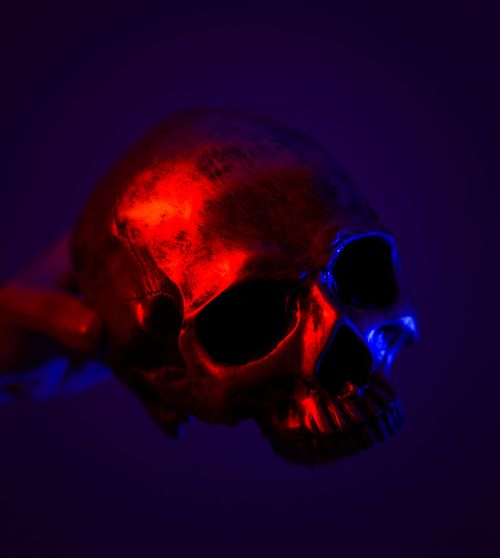 Free A skull illuminated by contrasting red and blue light against a dark background. Stock Photo