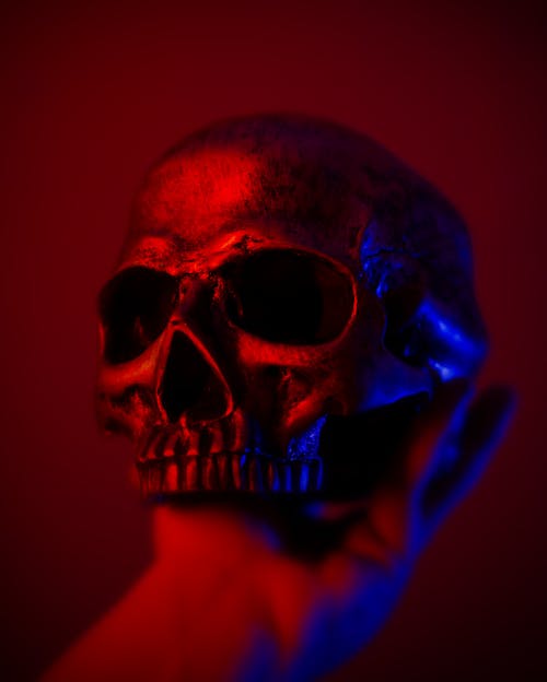 Free stock photo of neon, skull Stock Photo