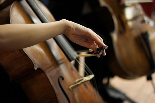 Free Person Playing a Cello Stock Photo