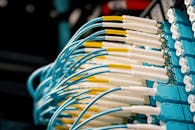 Blue Patch Cables Plugged on Patch Panel