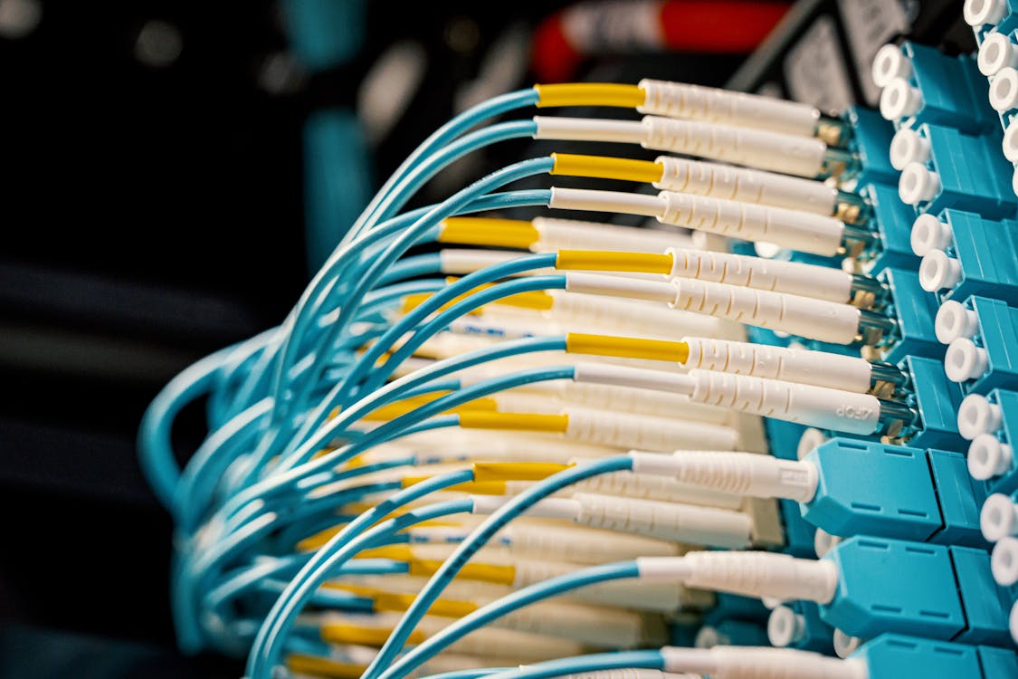 Free Blue Patch Cables Plugged on Patch Panel  Stock Photo