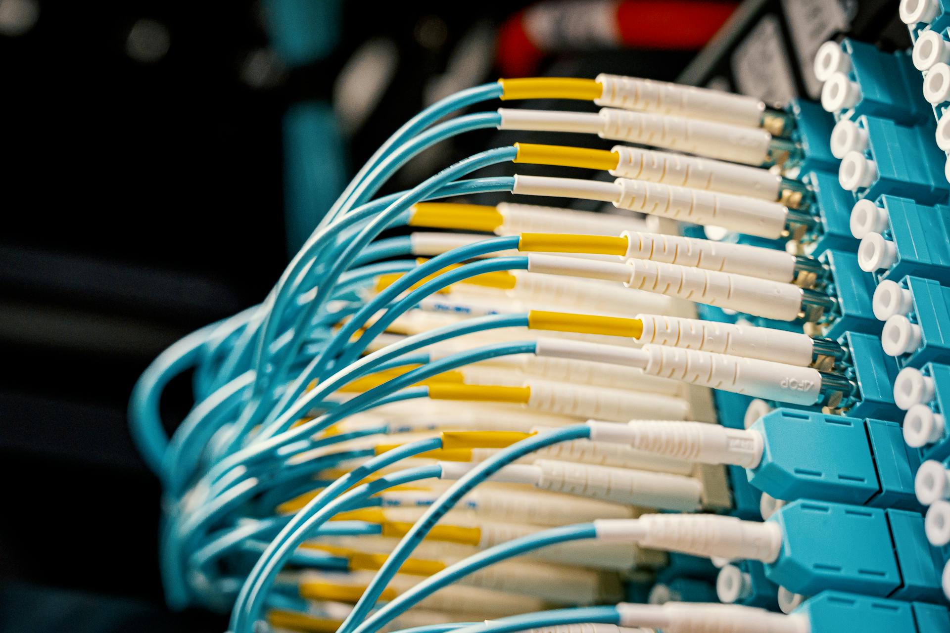 Close-up of neatly arranged fiber optic cables in a network patch panel, showcasing precise cable management.