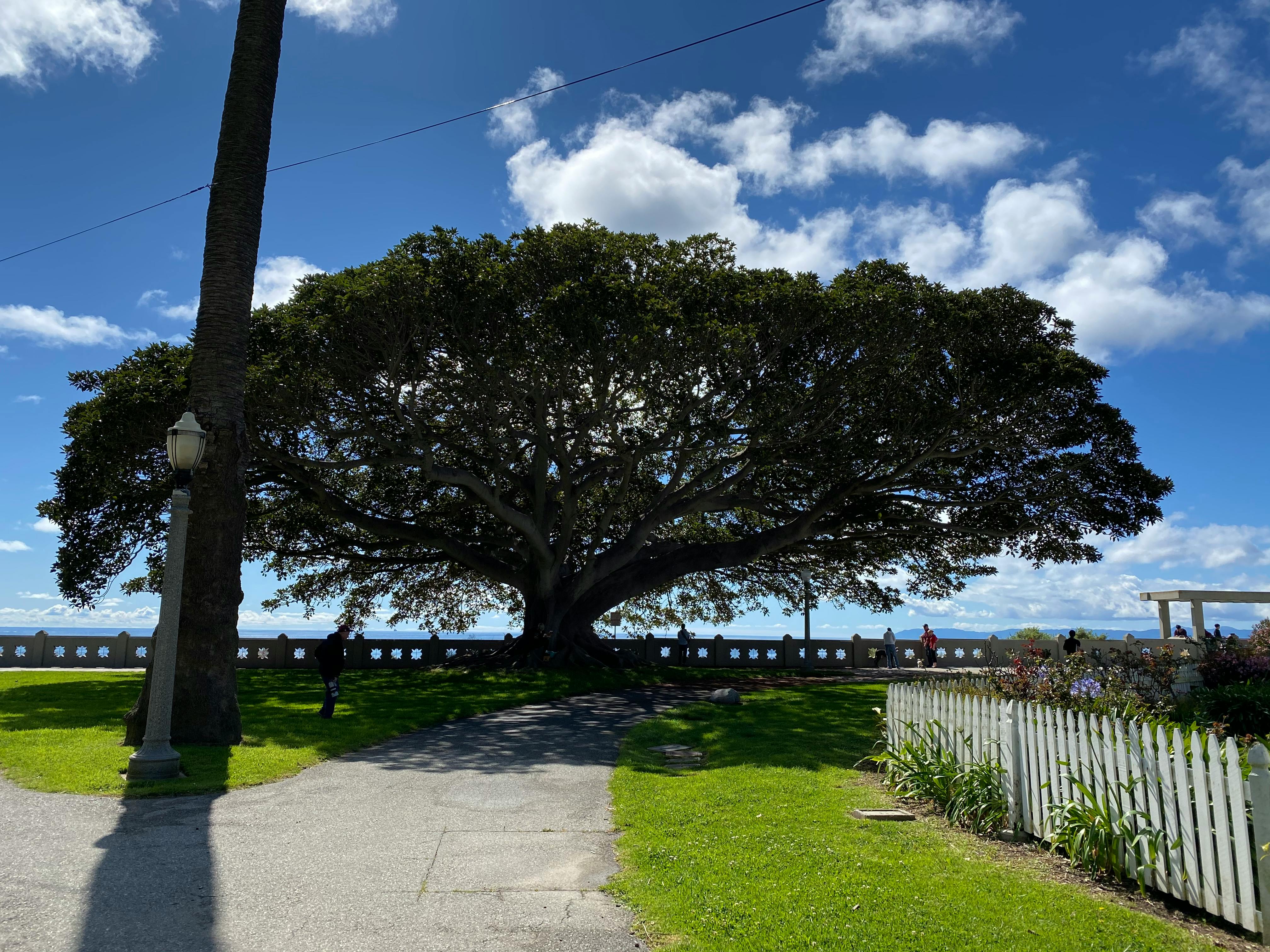 Firefighters talking together by a truck in a firehouse bay