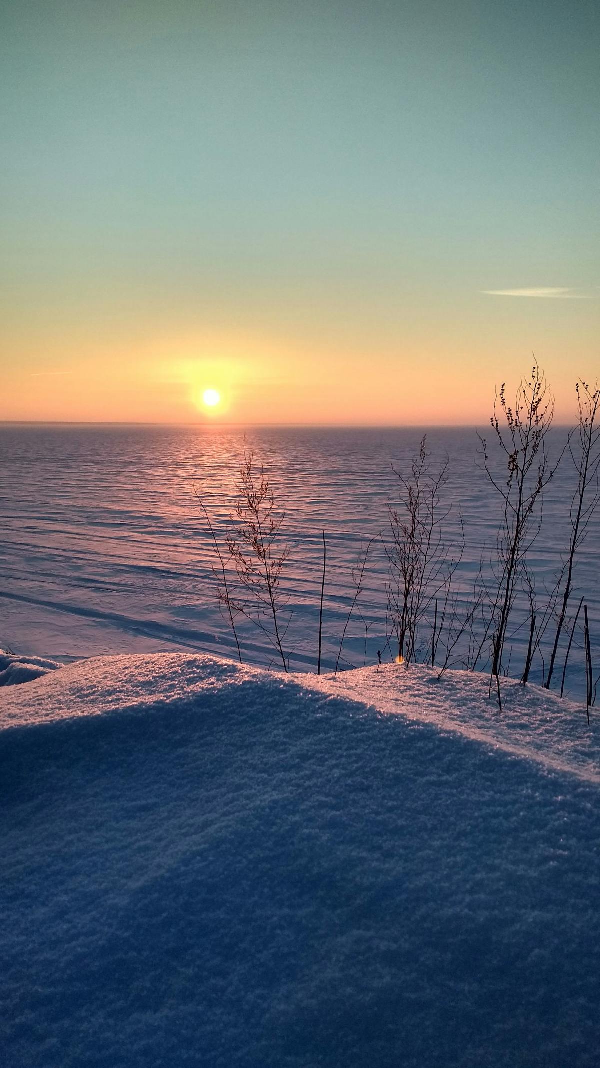 Person writing notes while watching a laptop screen during an online study session