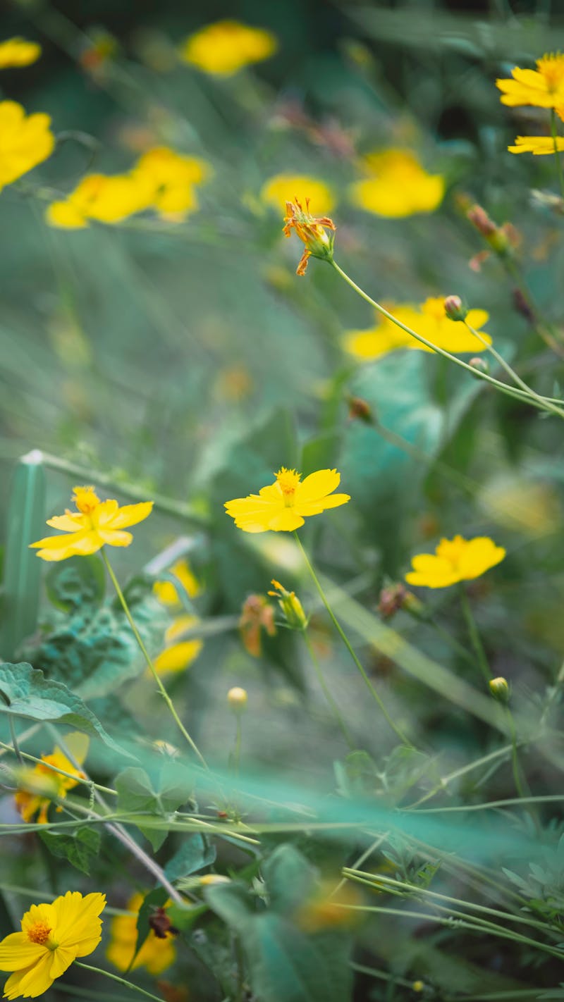 Fortnite battle royale scene