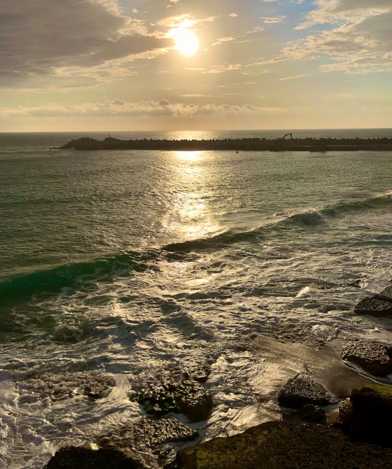 Apex Legends style battle royale