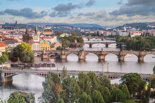 Vista Aérea Da Ponte De Concreto E Edifícios Cercados Por árvores