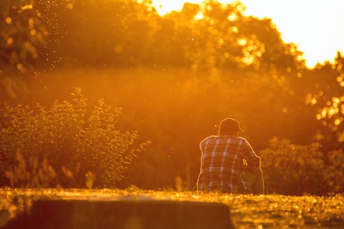 Man Sitting on Green Grasses