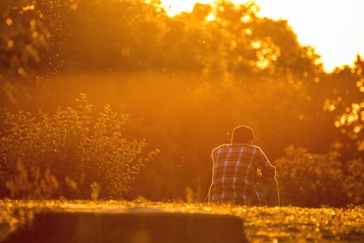 一个男人静静地坐在大自然中，金色的日落映衬着树木的轮廓，环绕在他周围