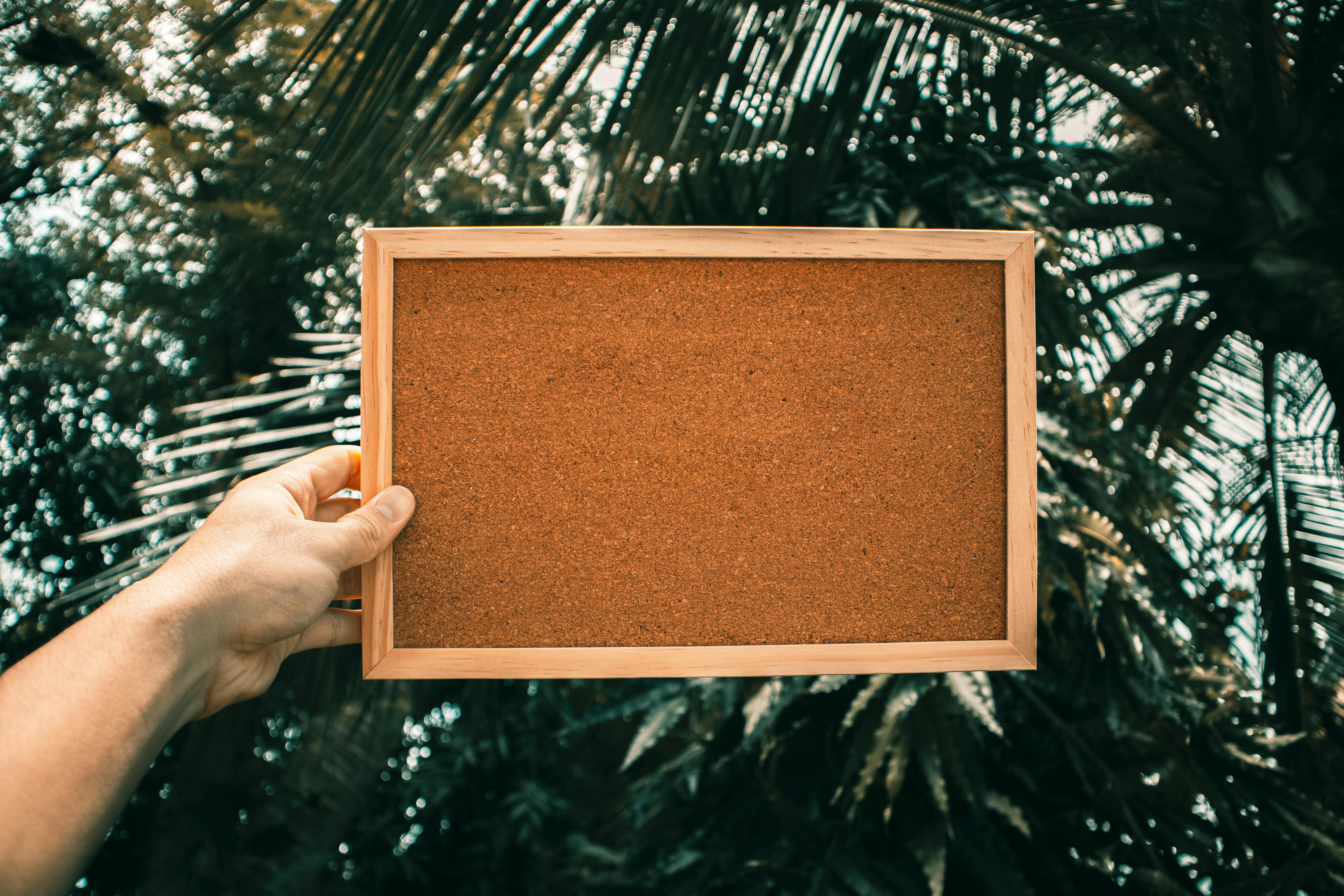 Close-up of an empty bulletin board held by a person with palm trees in the background.