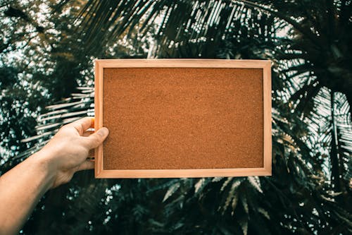 Free Person Holding Brown Wooden Board Stock Photo