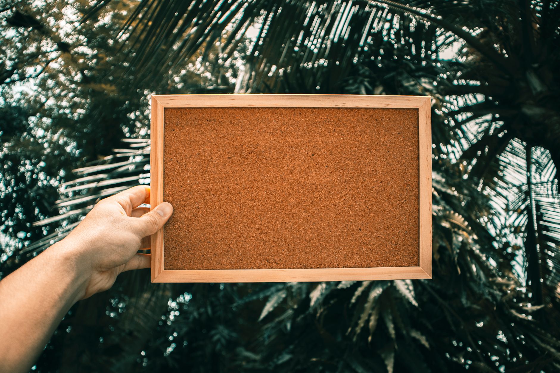 Best Cork Boards of 2026