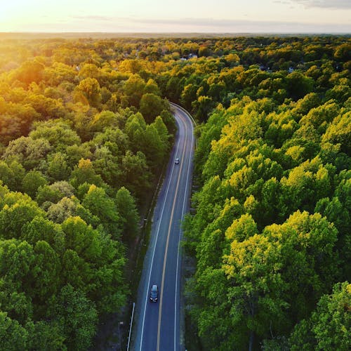 Aerial view of asphalt road through abundant forest