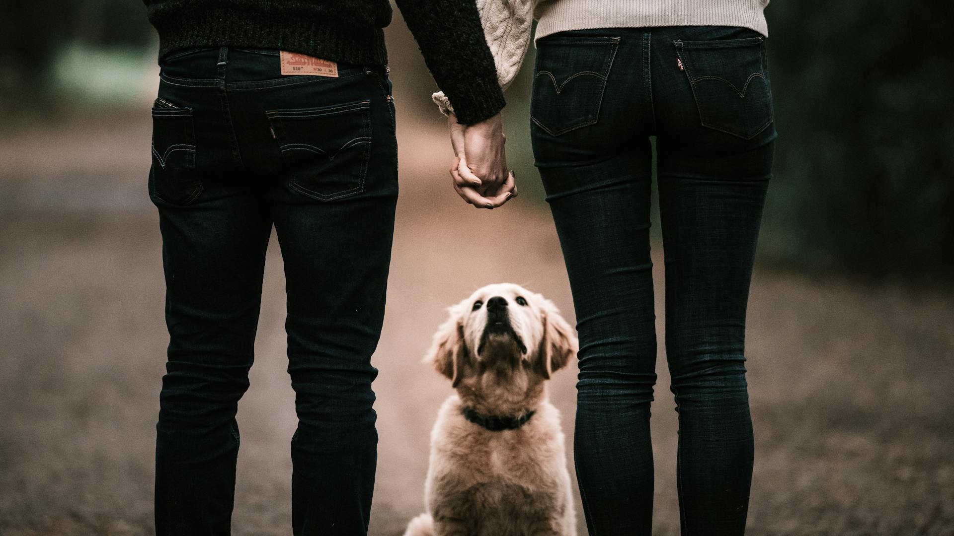 Woman in Black Long Sleeve Shirt Holding Brown Short Coated Dog