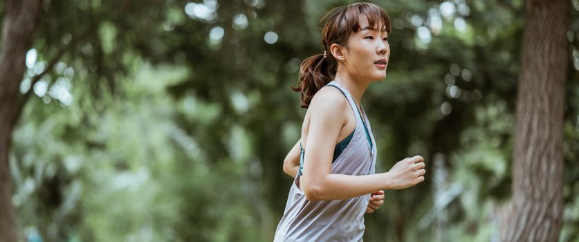 一位年轻女子在阳光明媚、绿意盎然的公园里聚精会神地慢跑，展现了健康与活力