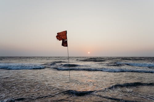Spot A Purple Flag? Know The Beach Warning First