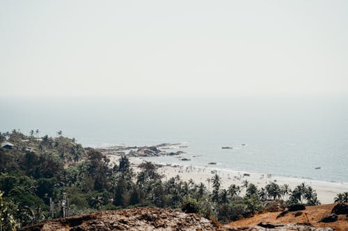 Kostnadsfri bild av goa, hav, indien