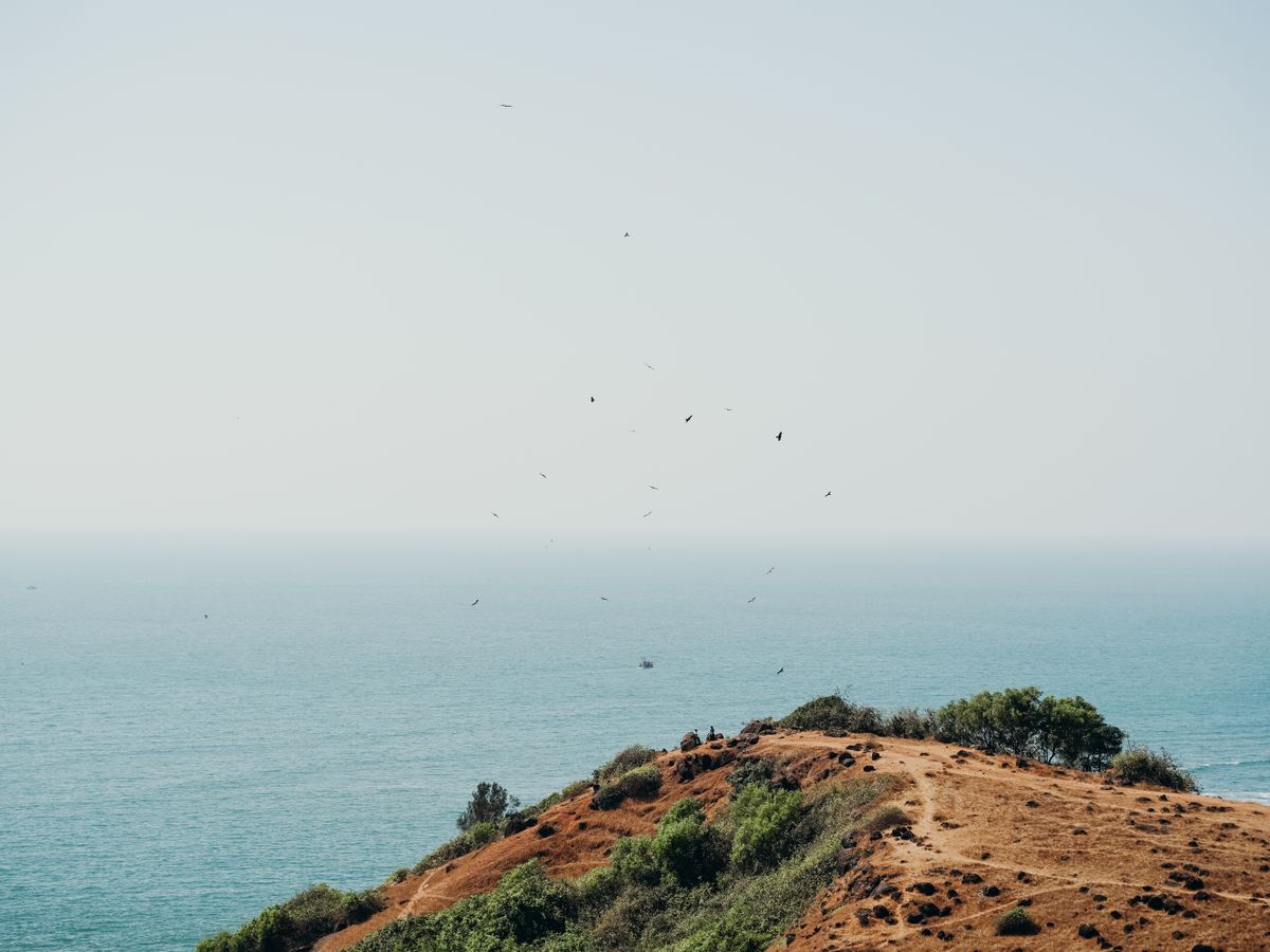 4 Day Renew & Reset: Zen Meditation and Yoga Retreat in India 2